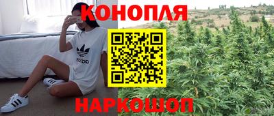 мяу мяу мука Бугуруслан