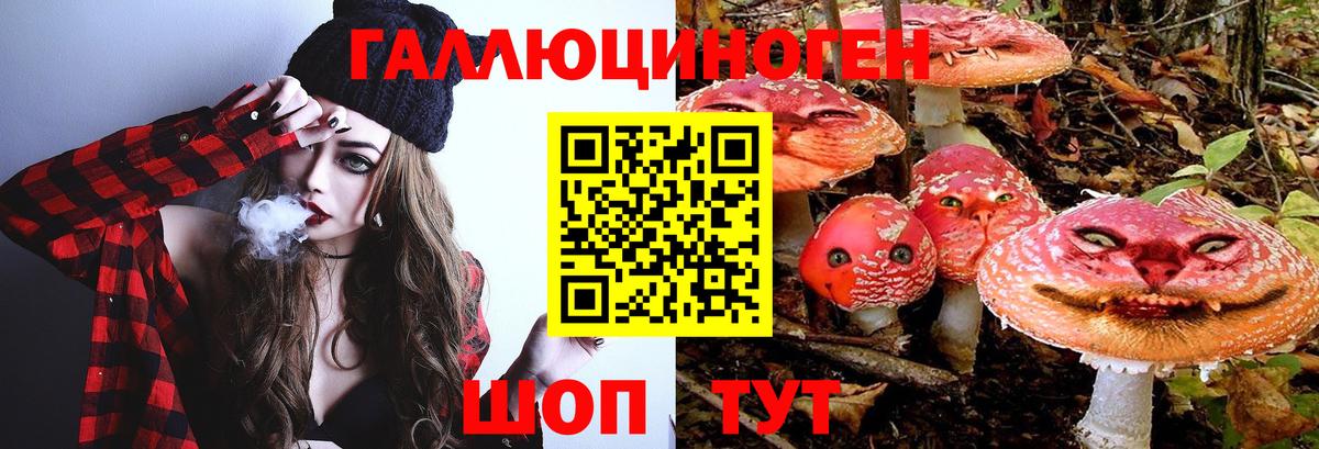 Галлюциногенные грибы Psilocybe Красногорск