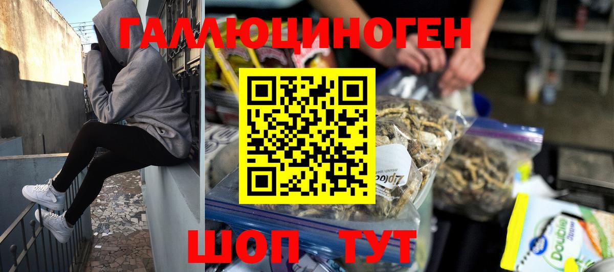 Красногорск  Псилоцибиновые грибы MAGIC MUSHROOMS  Вход с VPN 